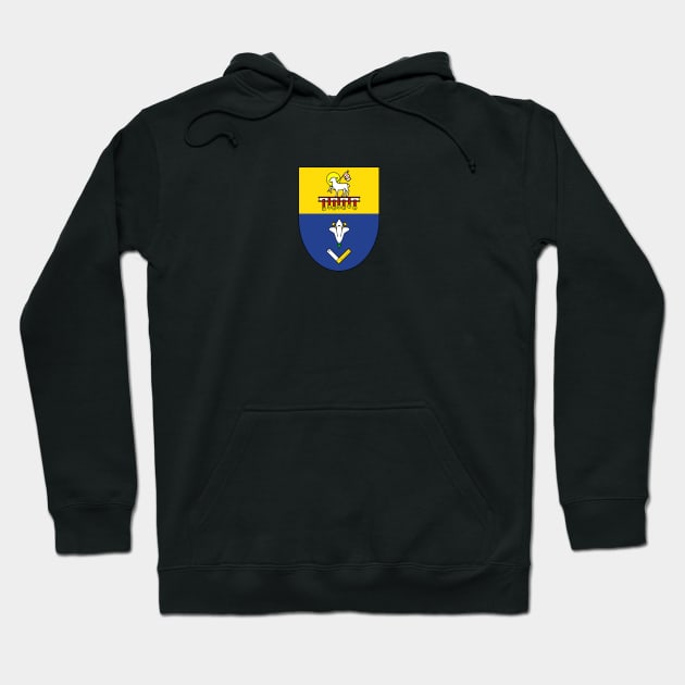 Vincent Pham's Personal Shield Hoodie by TheCatholicMan